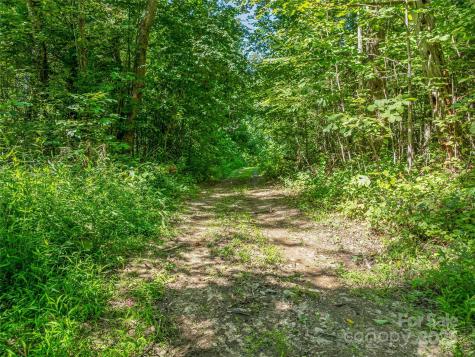 632 Justus Case Mountain Place Hendersonville NC 28792