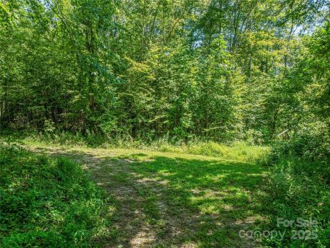632 Justus Case Mountain Place Hendersonville NC 28792