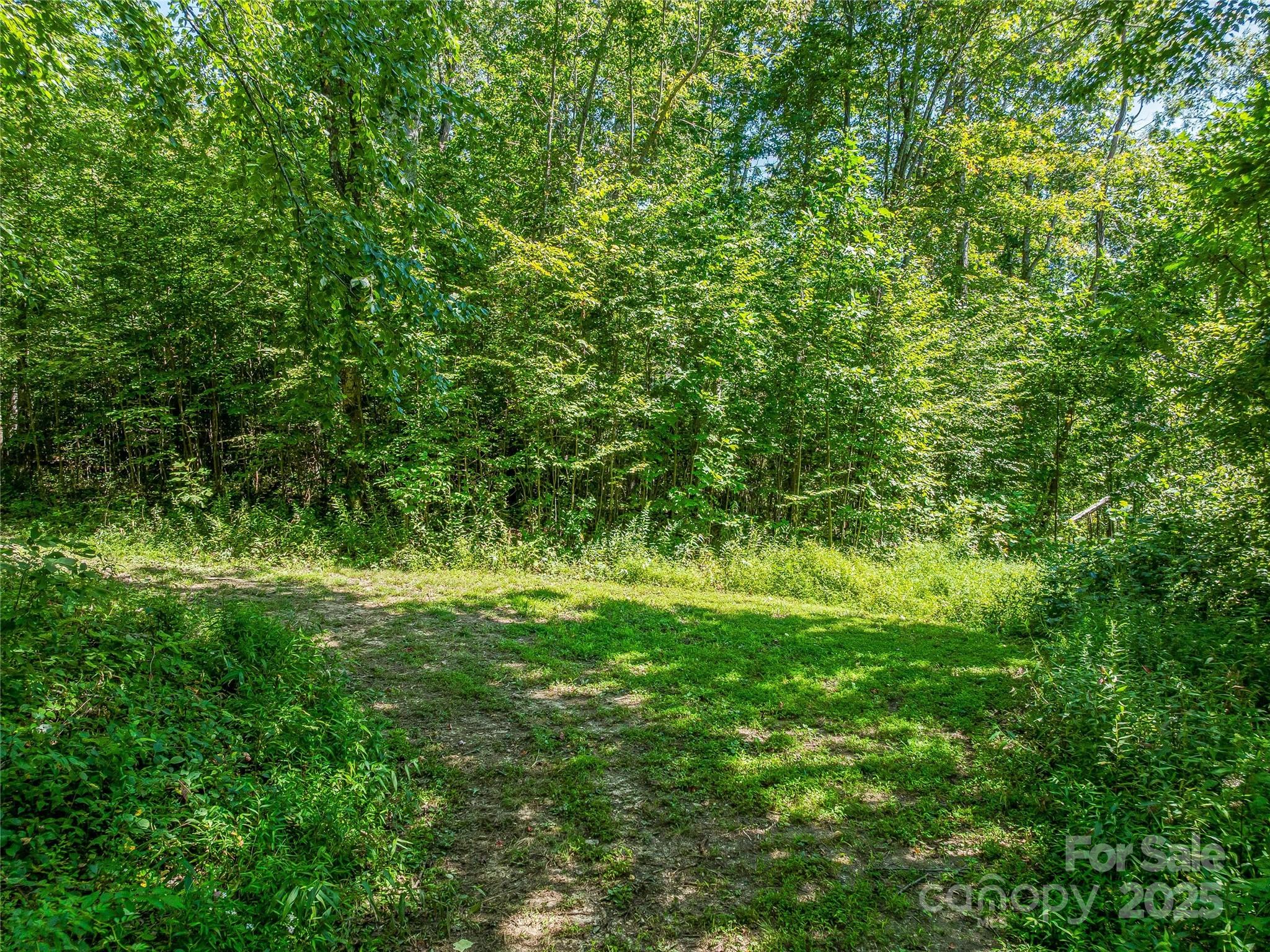 632 Justus Case Mountain Place Hendersonville NC 28792