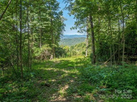 632 Justus Case Mountain Place Hendersonville NC 28792