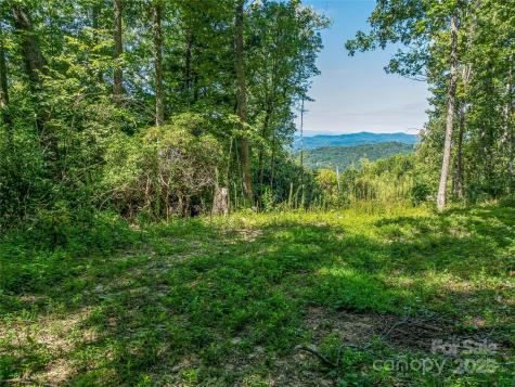 632 Justus Case Mountain Place Hendersonville NC 28792