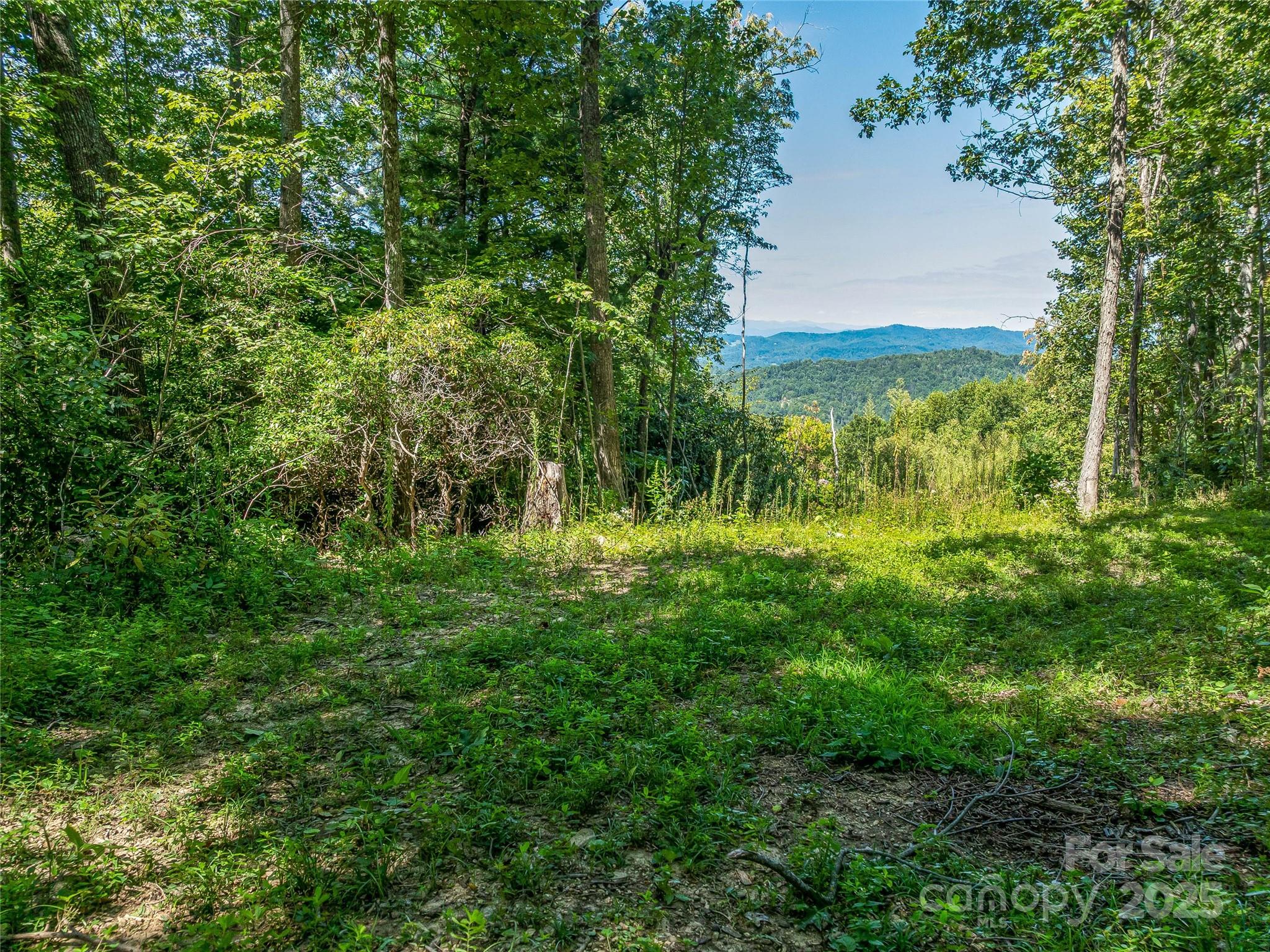 632 Justus Case Mountain Place Hendersonville NC 28792