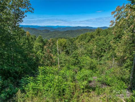 632 Justus Case Mountain Place Hendersonville NC 28792