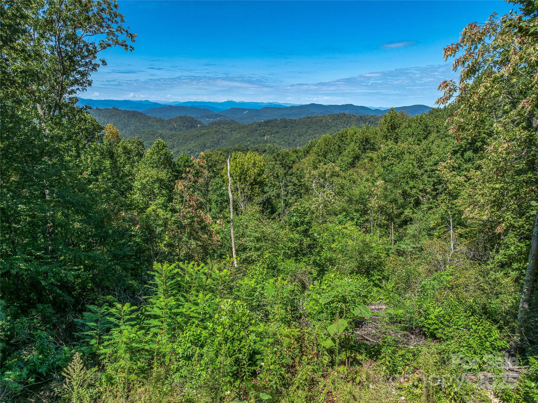 632 Justus Case Mountain Place Hendersonville NC 28792