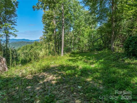 632 Justus Case Mountain Place Hendersonville NC 28792
