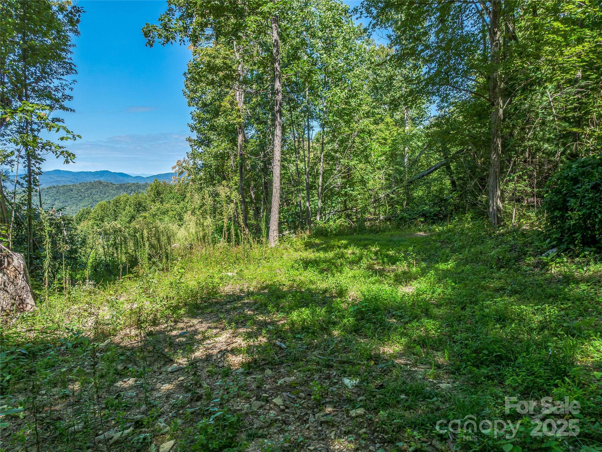 632 Justus Case Mountain Place Hendersonville NC 28792