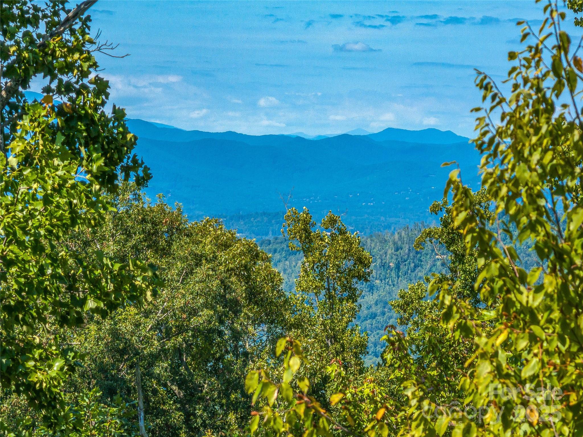 632 Justus Case Mountain Place Hendersonville NC 28792