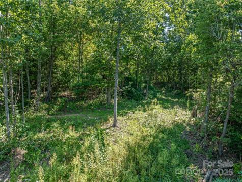 632 Justus Case Mountain Place Hendersonville NC 28792
