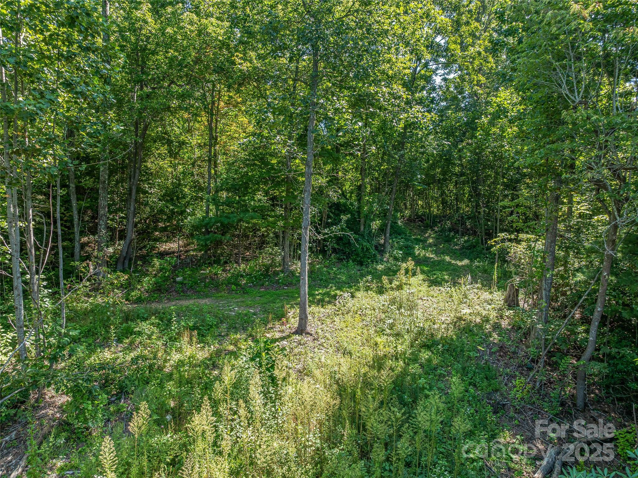 632 Justus Case Mountain Place Hendersonville NC 28792
