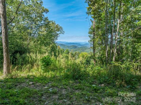 632 Justus Case Mountain Place Hendersonville NC 28792