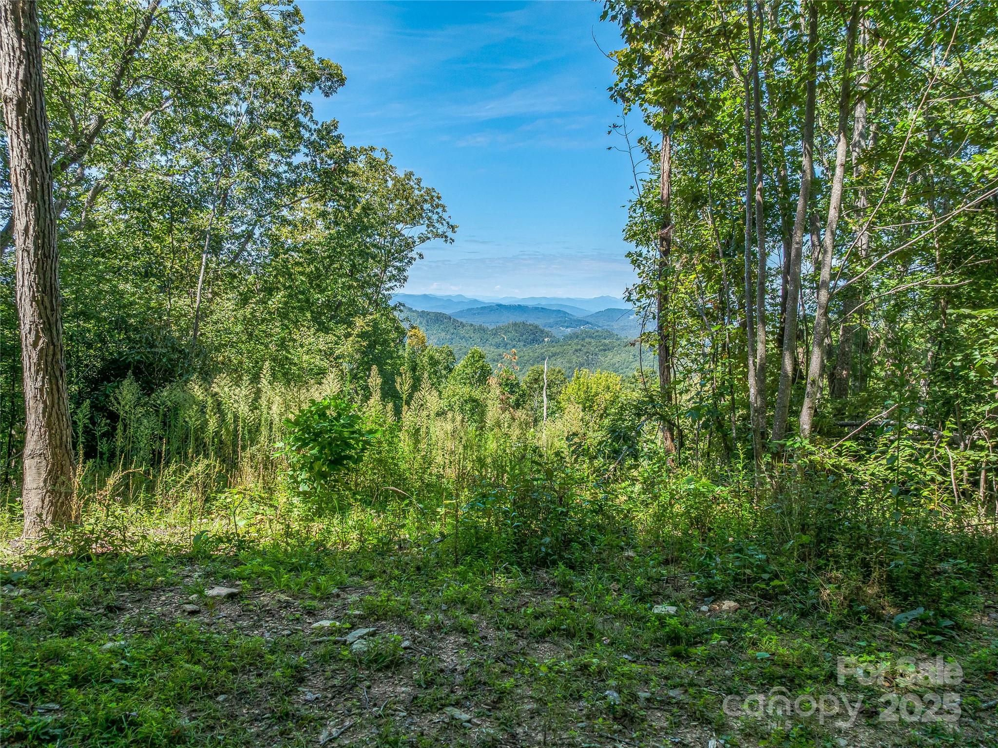 632 Justus Case Mountain Place Hendersonville NC 28792