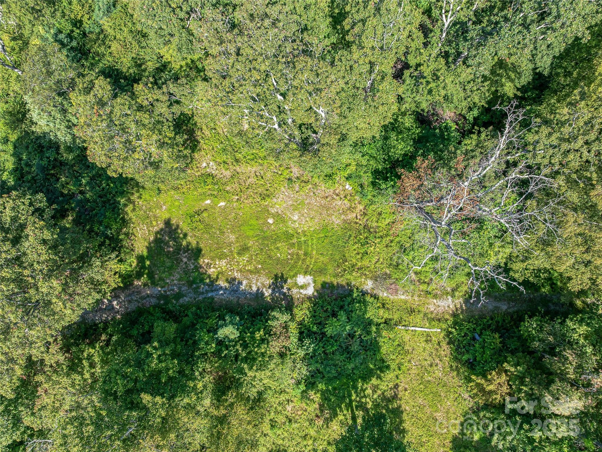 632 Justus Case Mountain Place Hendersonville NC 28792