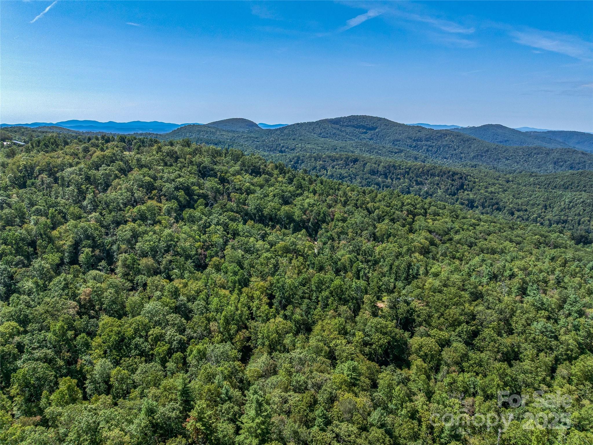 632 Justus Case Mountain Place Hendersonville NC 28792