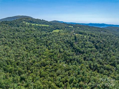 632 Justus Case Mountain Place Hendersonville NC 28792