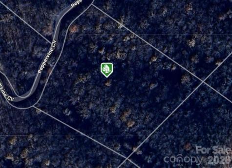 0000 Peppervine Circle Rosman NC 28772