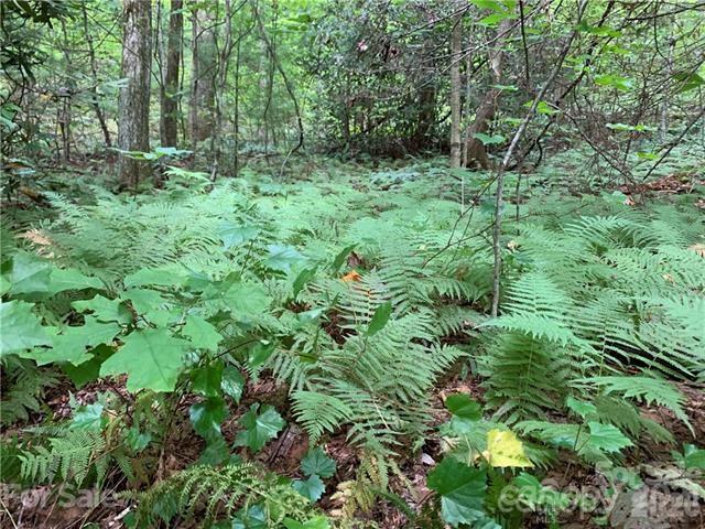0000 Peppervine Circle Rosman NC 28772