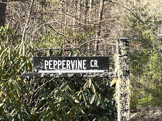 0000 Peppervine Circle Rosman NC 28772