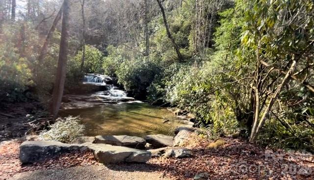 0000 Peppervine Circle Rosman NC 28772