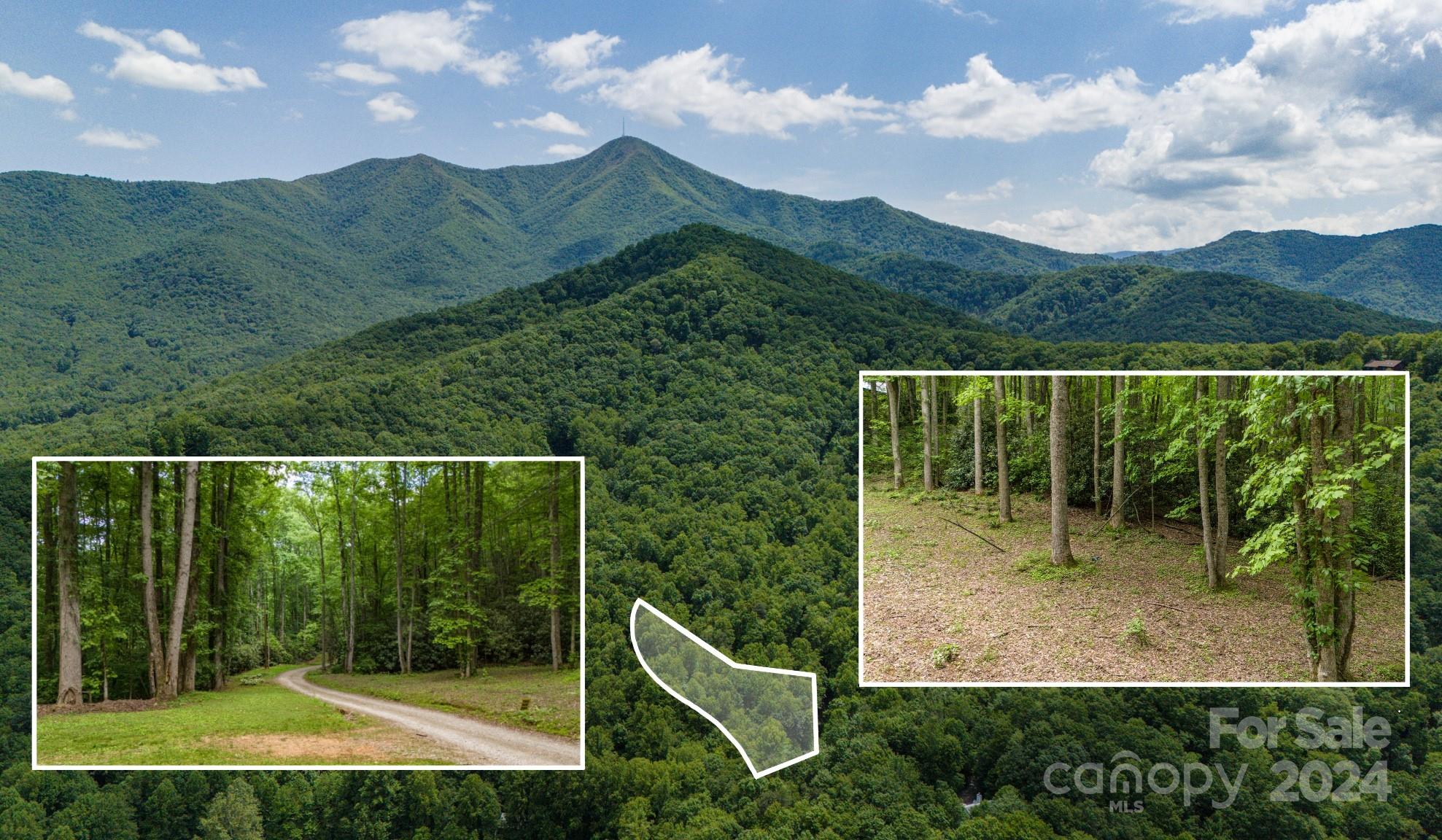 95 Treetops Drive Candler NC 28715