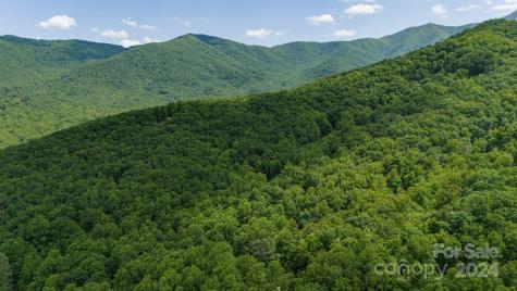 95 Treetops Drive Candler NC 28715