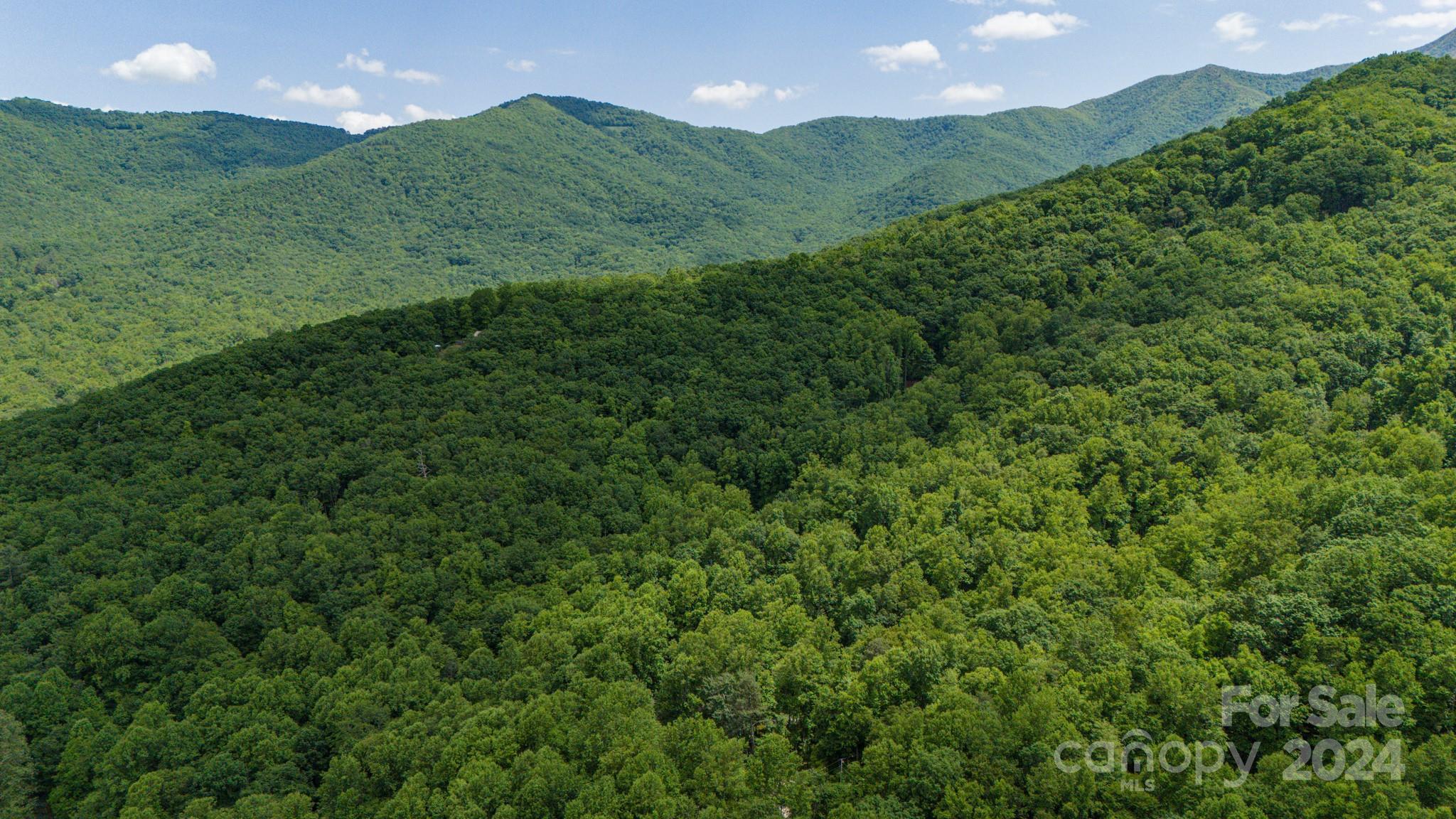 95 Treetops Drive Candler NC 28715