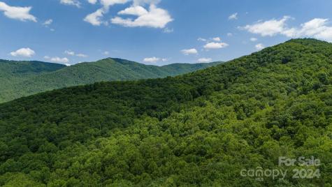 95 Treetops Drive Candler NC 28715