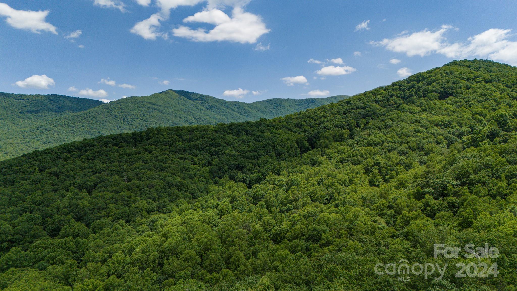 95 Treetops Drive Candler NC 28715