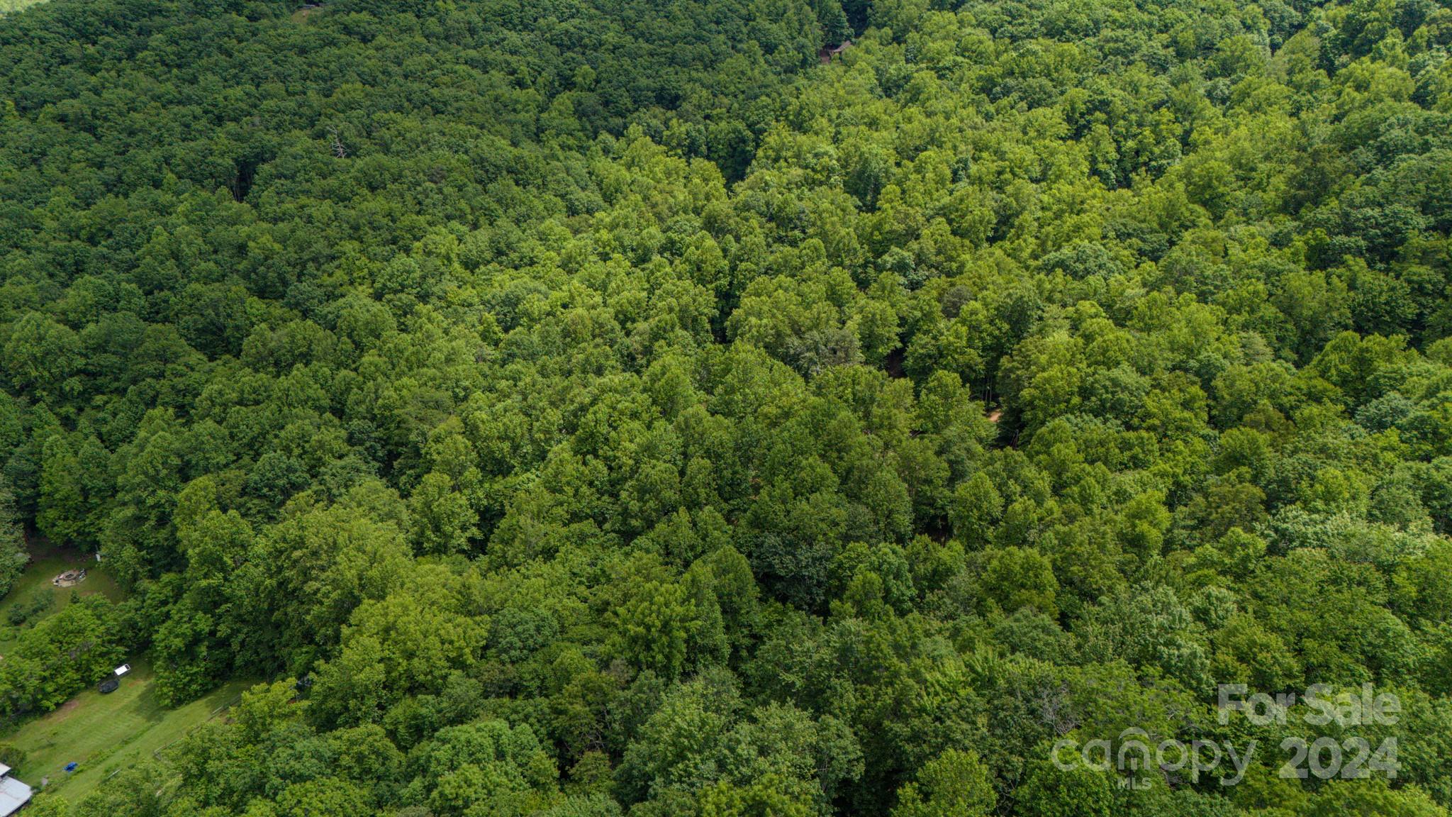 95 Treetops Drive Candler NC 28715
