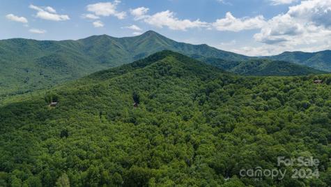 95 Treetops Drive Candler NC 28715