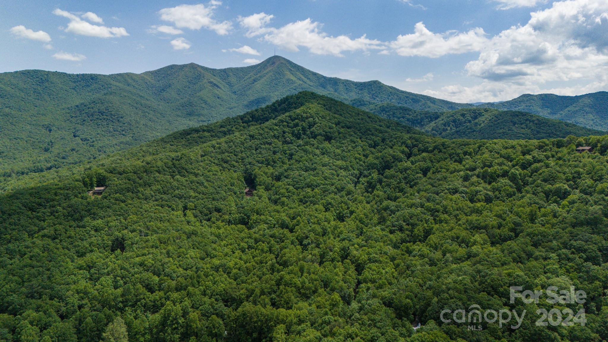 95 Treetops Drive Candler NC 28715
