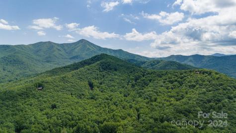 95 Treetops Drive Candler NC 28715