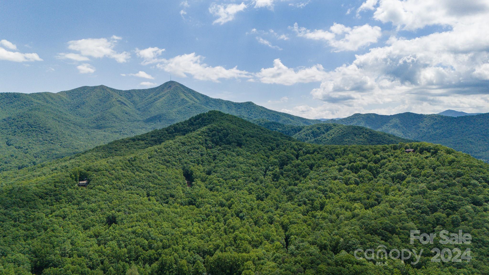 95 Treetops Drive Candler NC 28715