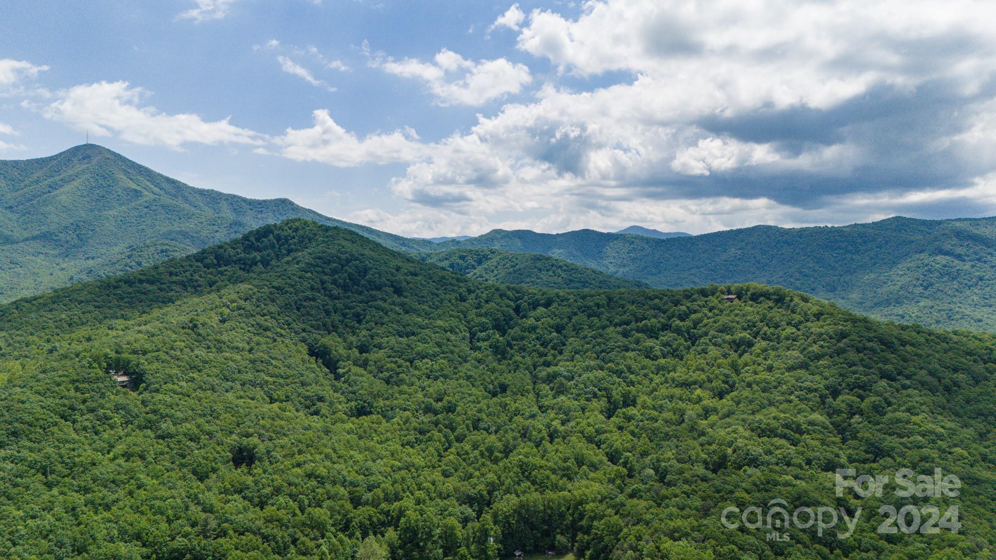 95 Treetops Drive Candler NC 28715