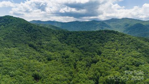 95 Treetops Drive Candler NC 28715