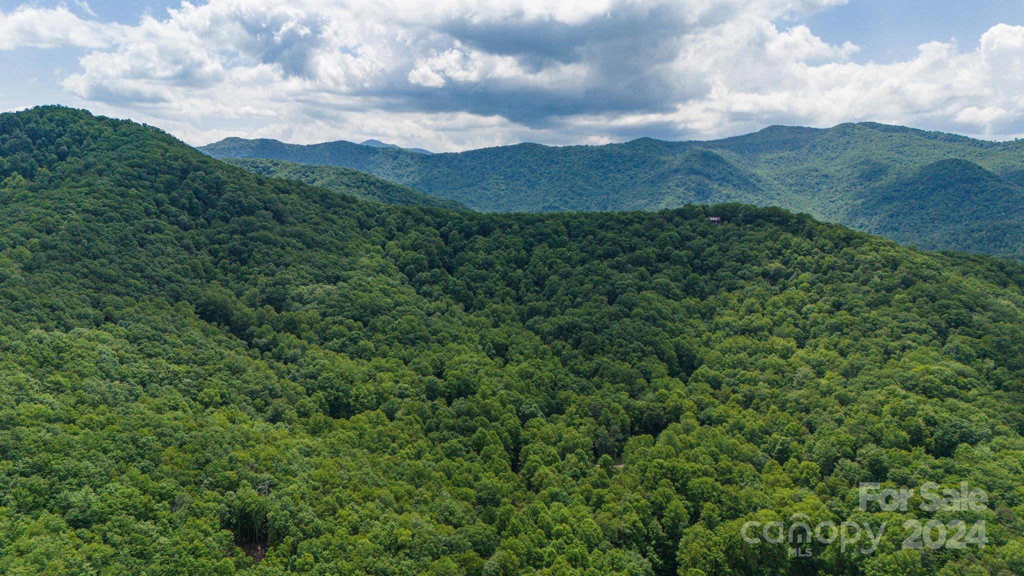 95 Treetops Drive Candler NC 28715