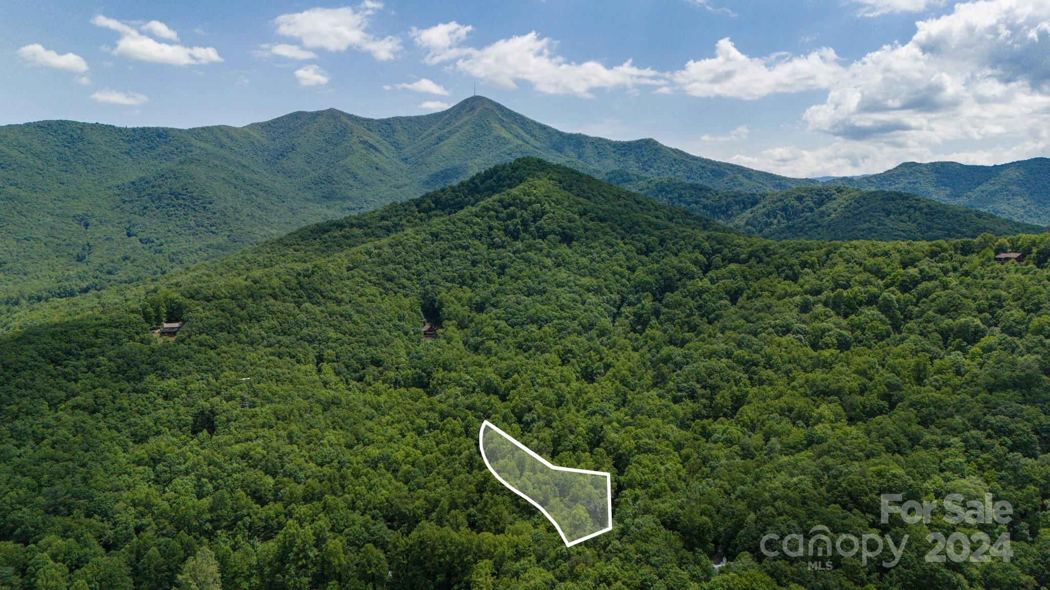 95 Treetops Drive Candler NC 28715