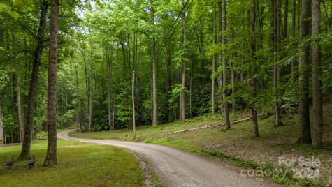 95 Treetops Drive Candler NC 28715