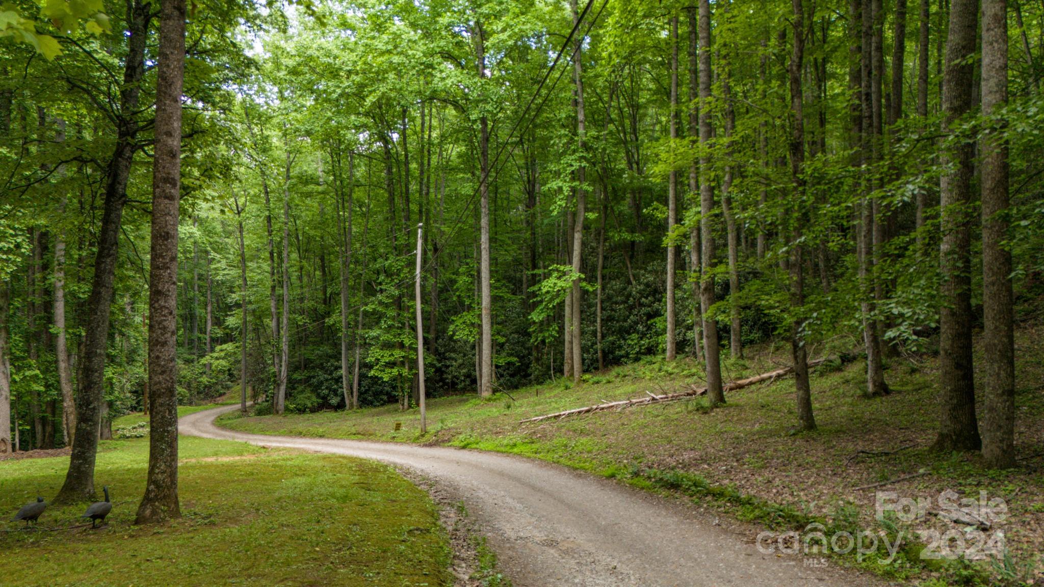 95 Treetops Drive Candler NC 28715