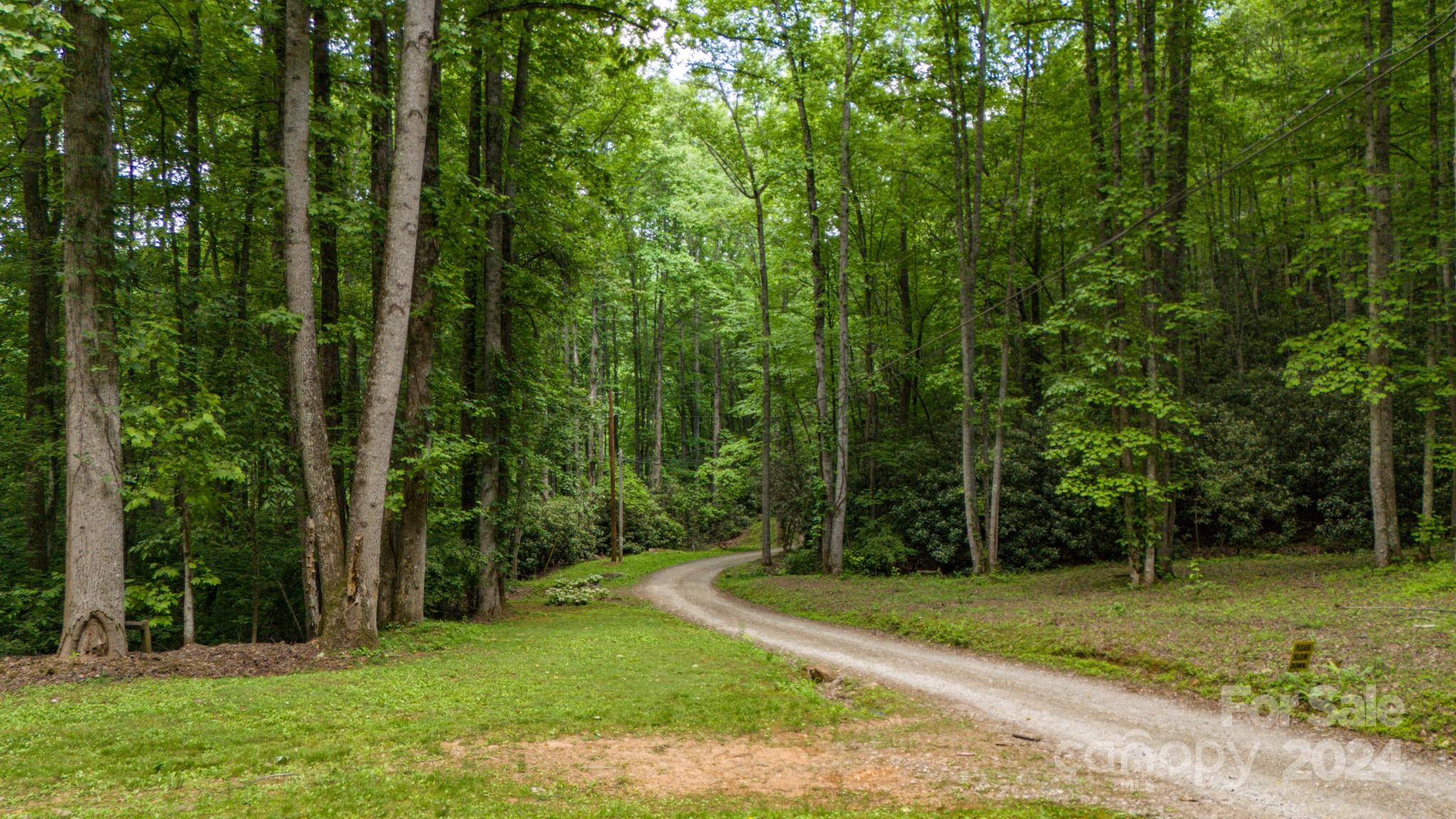 95 Treetops Drive Candler NC 28715