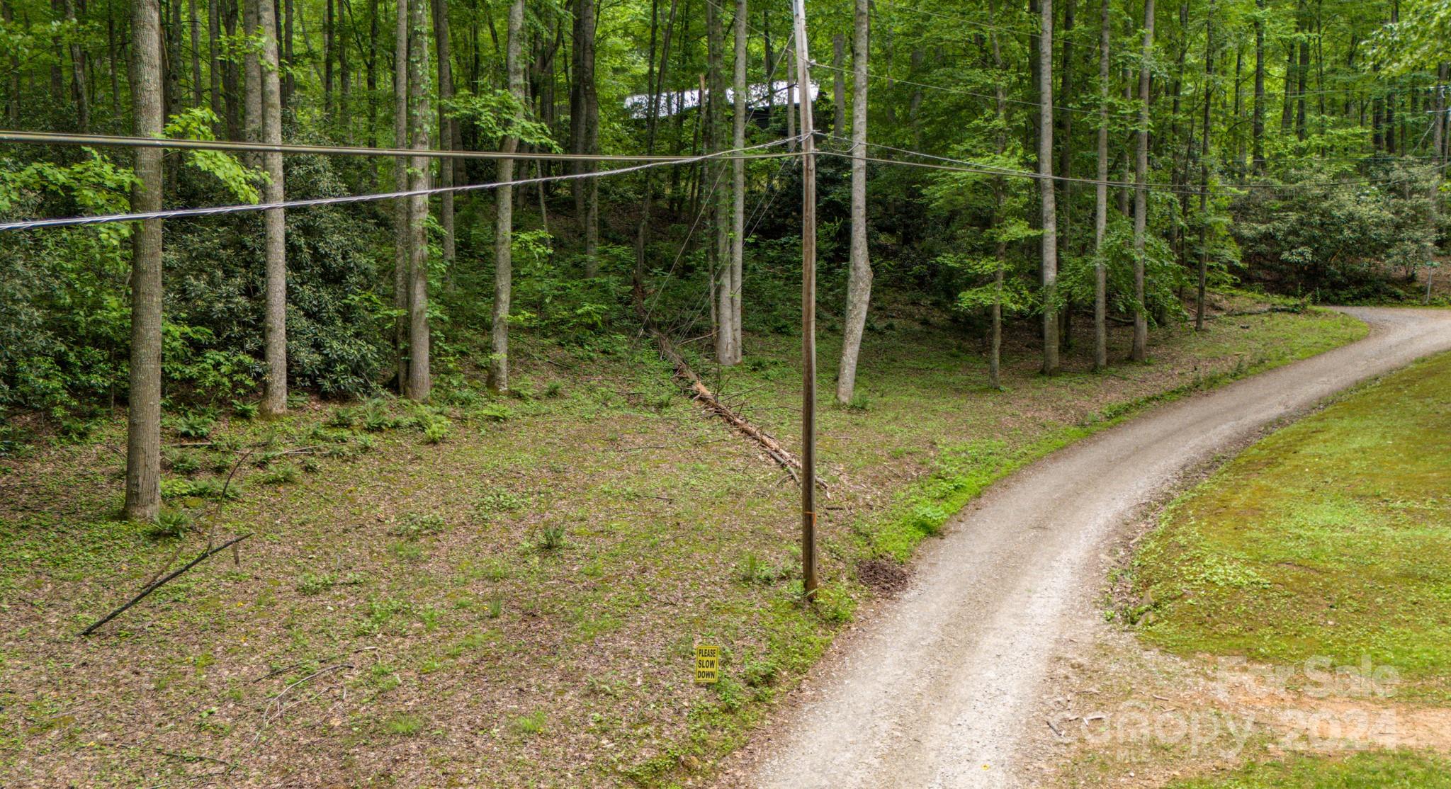 95 Treetops Drive Candler NC 28715