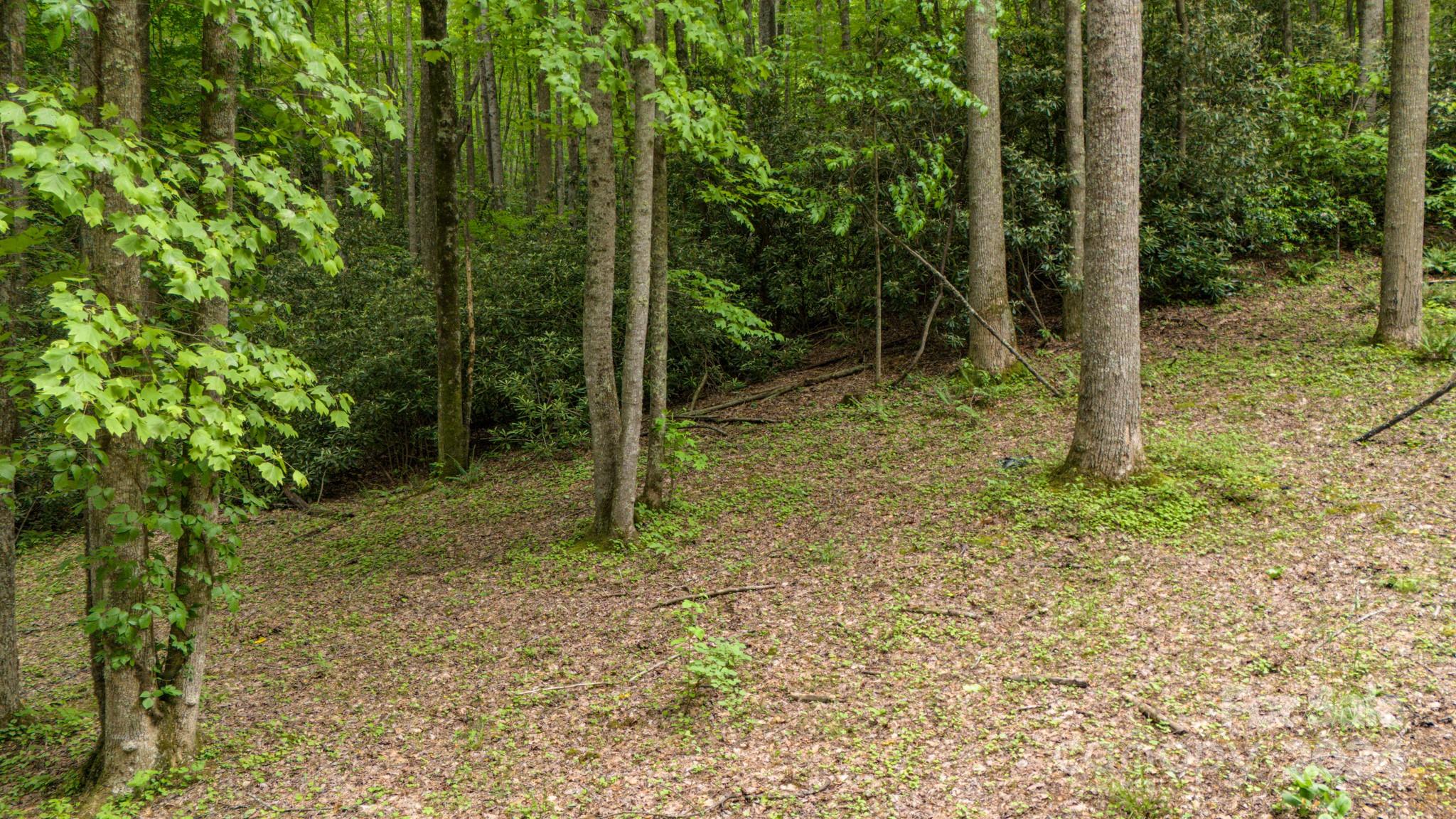 95 Treetops Drive Candler NC 28715