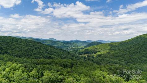 95 Treetops Drive Candler NC 28715
