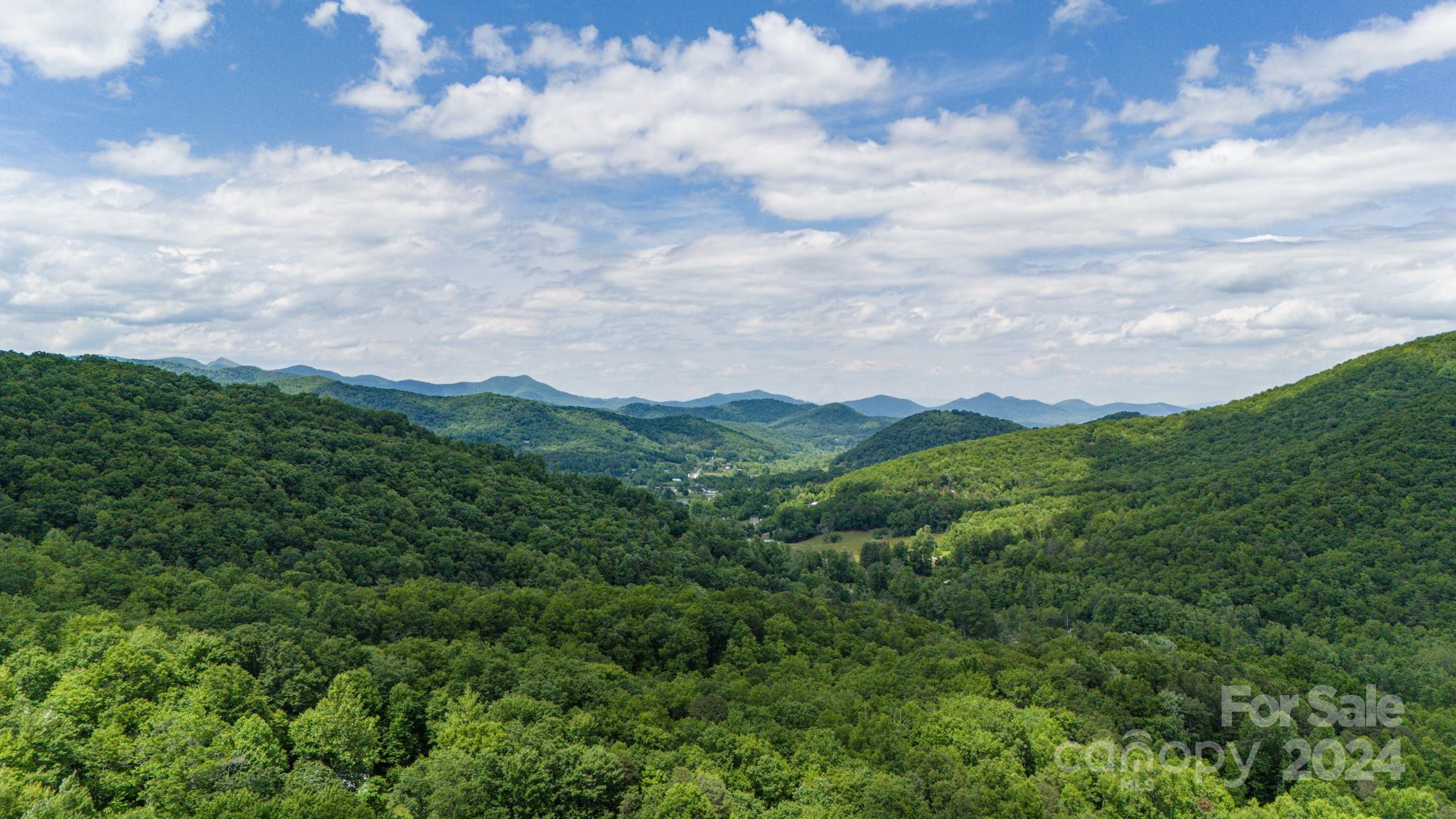 95 Treetops Drive Candler NC 28715