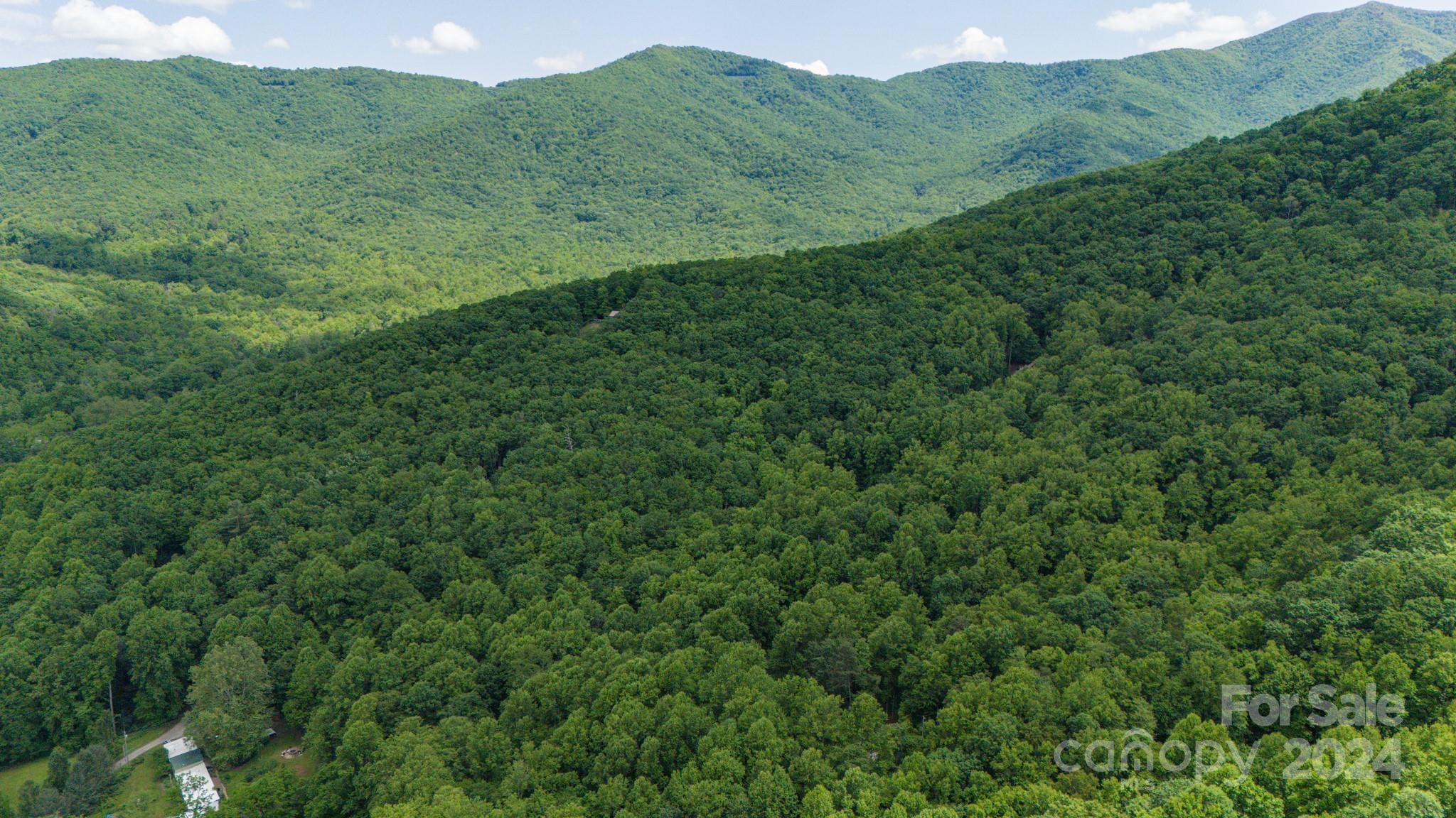 95 Treetops Drive Candler NC 28715