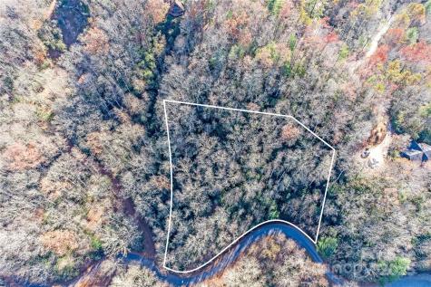 Tbd Dundee Lane Pisgah Forest NC 28768