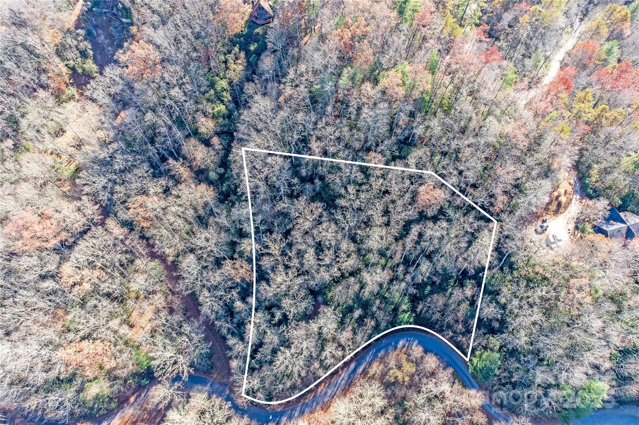 Tbd Dundee Lane Pisgah Forest NC 28768