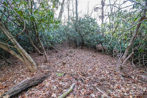 Tbd Dundee Lane Pisgah Forest NC 28768