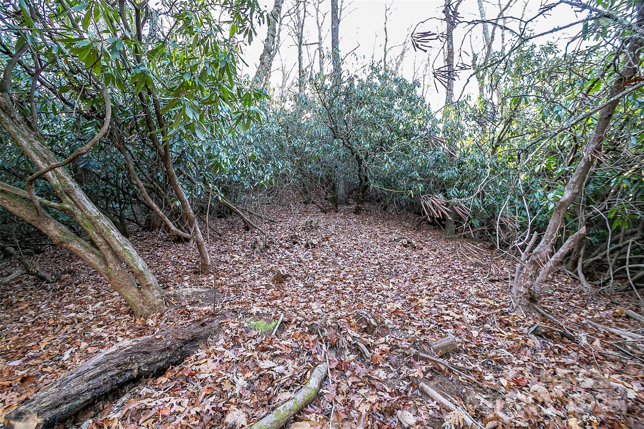 Tbd Dundee Lane Pisgah Forest NC 28768