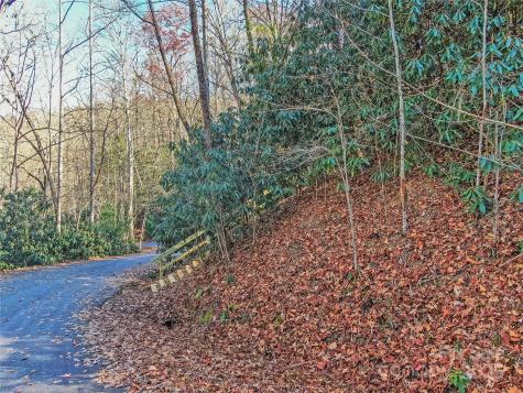 Tbd Dundee Lane Pisgah Forest NC 28768