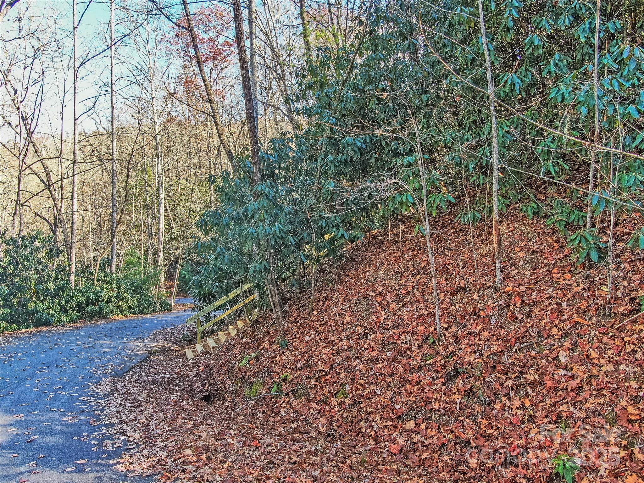 Tbd Dundee Lane Pisgah Forest NC 28768